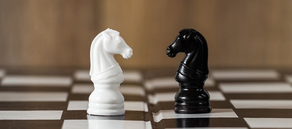 Schachfigur Pferd auch Springer genannt erfolgreiche Schuldenbereinigung Schuldnerberatung Berlin Grunewald